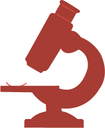 features image