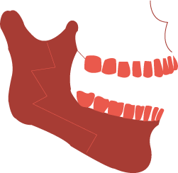 features image