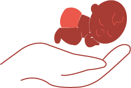 features image