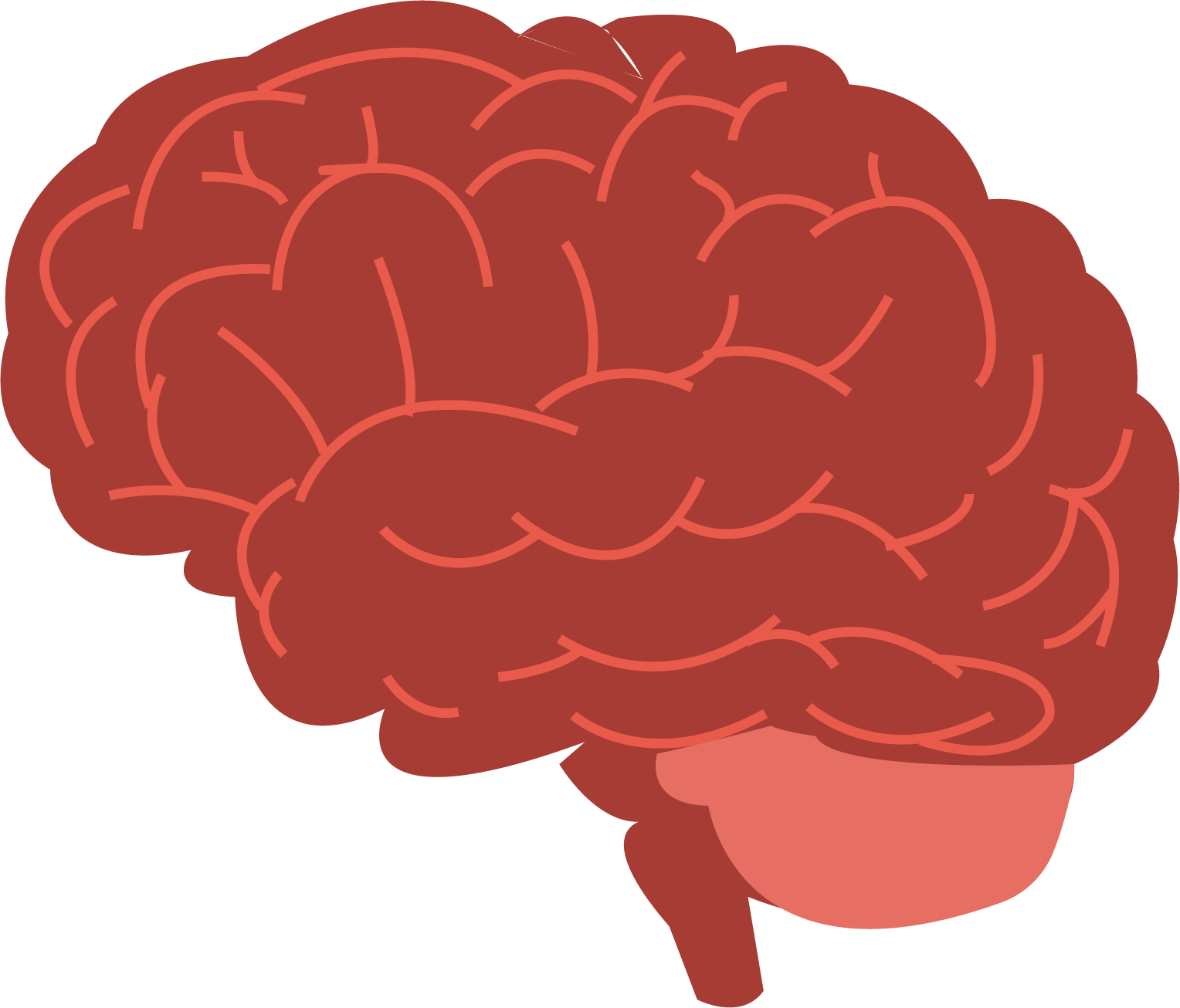 features image