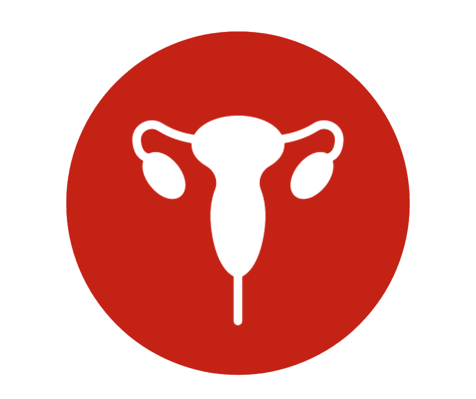 GINECOLOGÍA