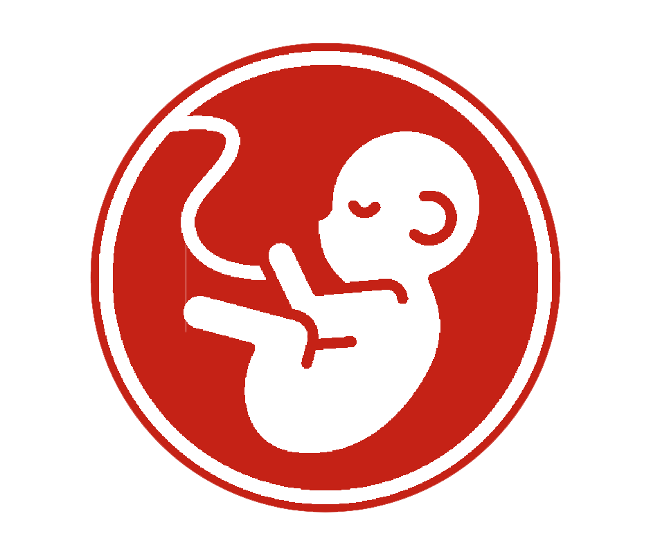 OBSTETRICIA